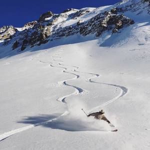 Meet your Posher, Benson